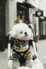 Usman AbdulrasheedGambo - Free stock photo of active dog, adorable dog, asian street