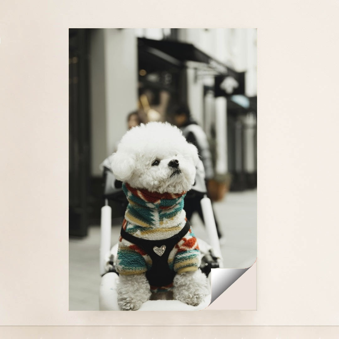 7090417270819 - Product Image