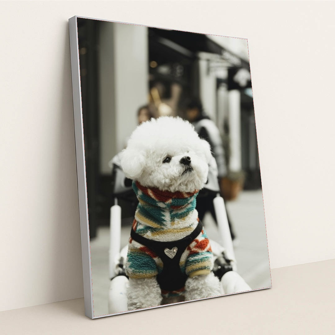 7090417270819 - Product Image