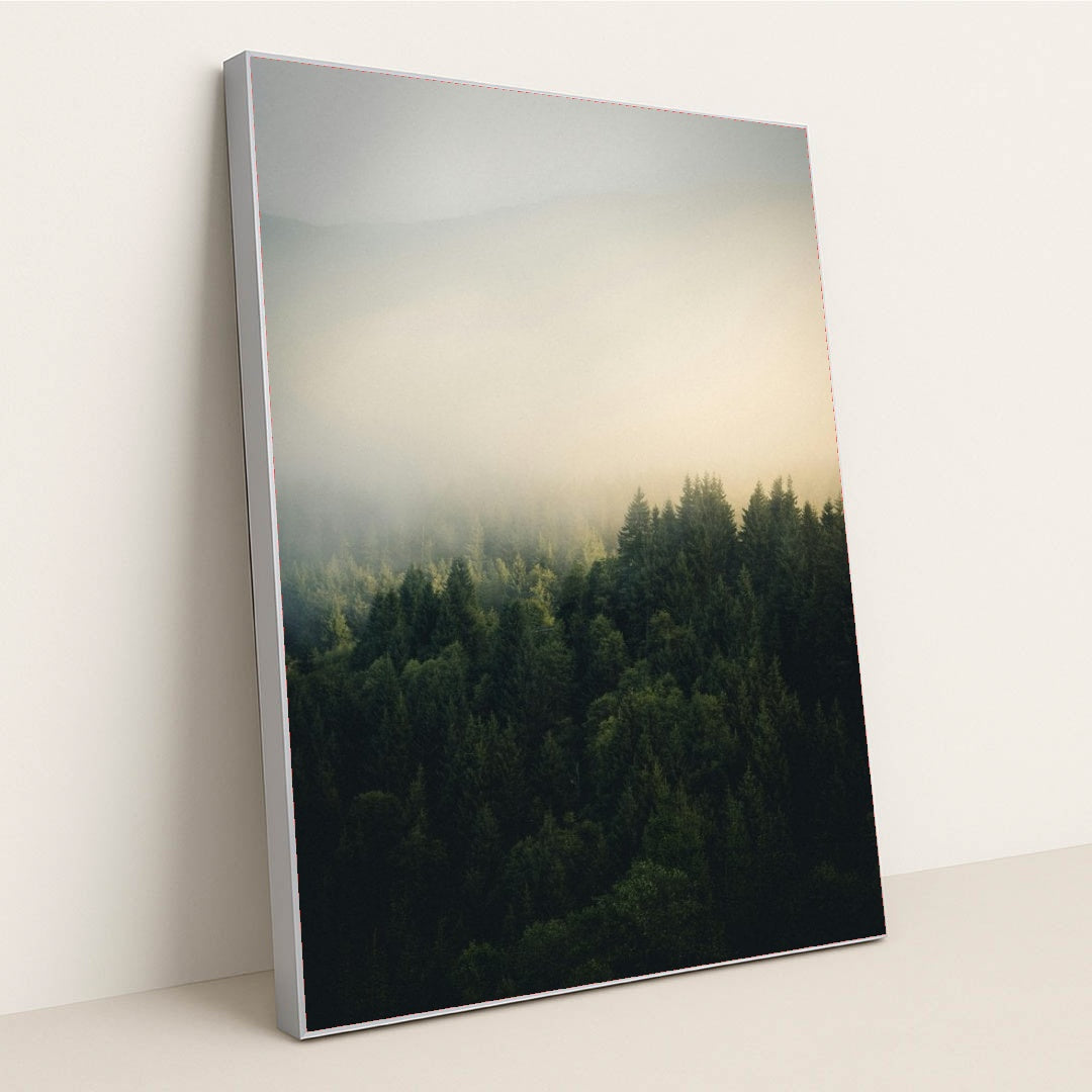 7077675302947 - Product Image