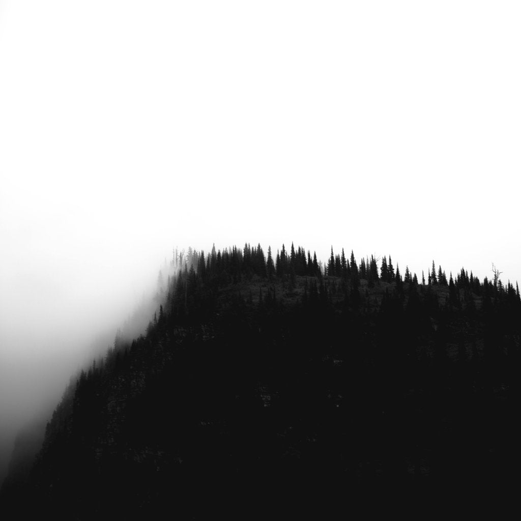 John De Leon - A captivating monochrome view of mist enveloping a silhouette of an evergreen forest on a hillside.