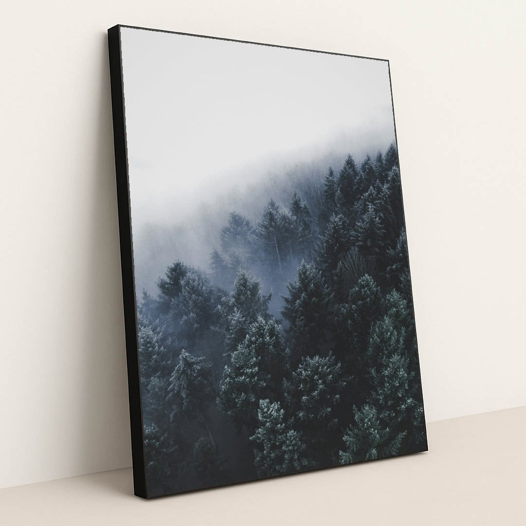 Fogline by Christian Grab - Black Frame Stretchiez
