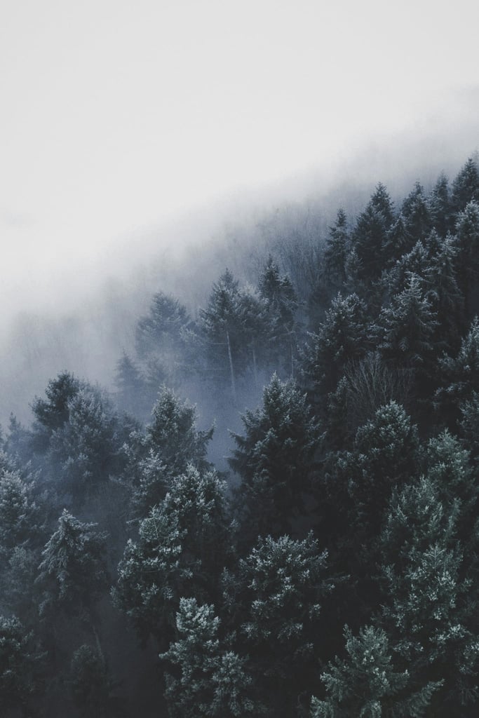 Fogline by Christian Grab