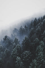 Fogline by Christian Grab