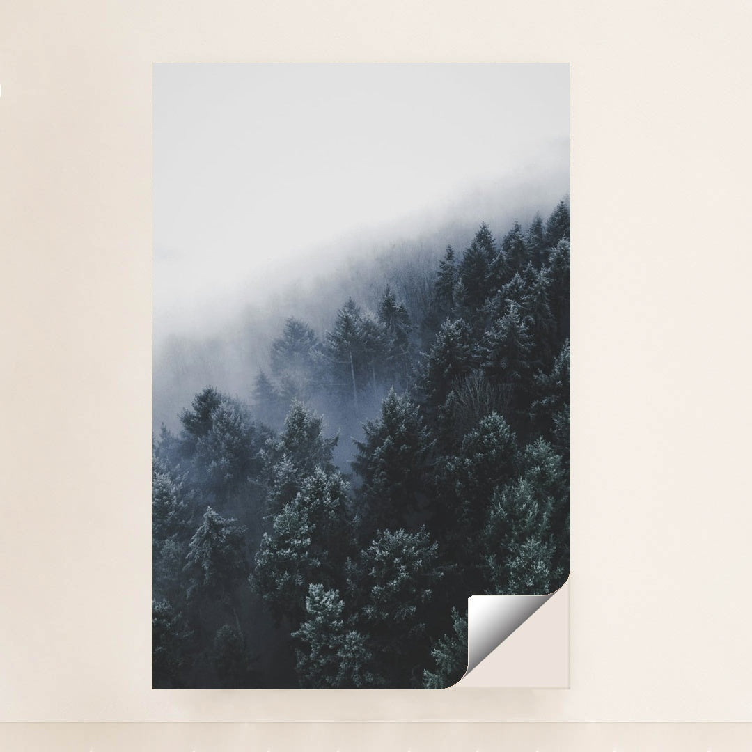 Fogline by Christian Grab - Peeliez