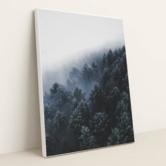 Fogline by Christian Grab - White Frame Stretchiez