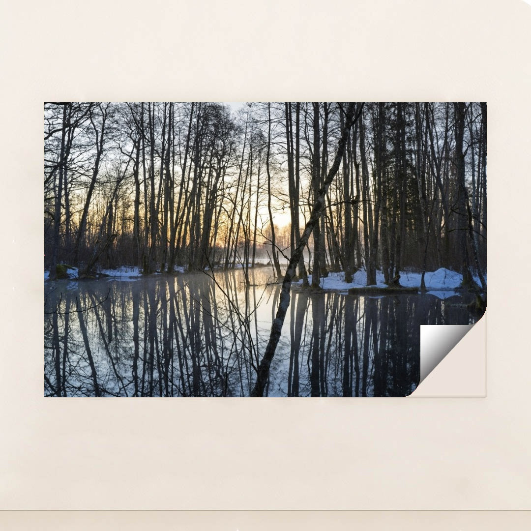 7090354552867 - Product Image