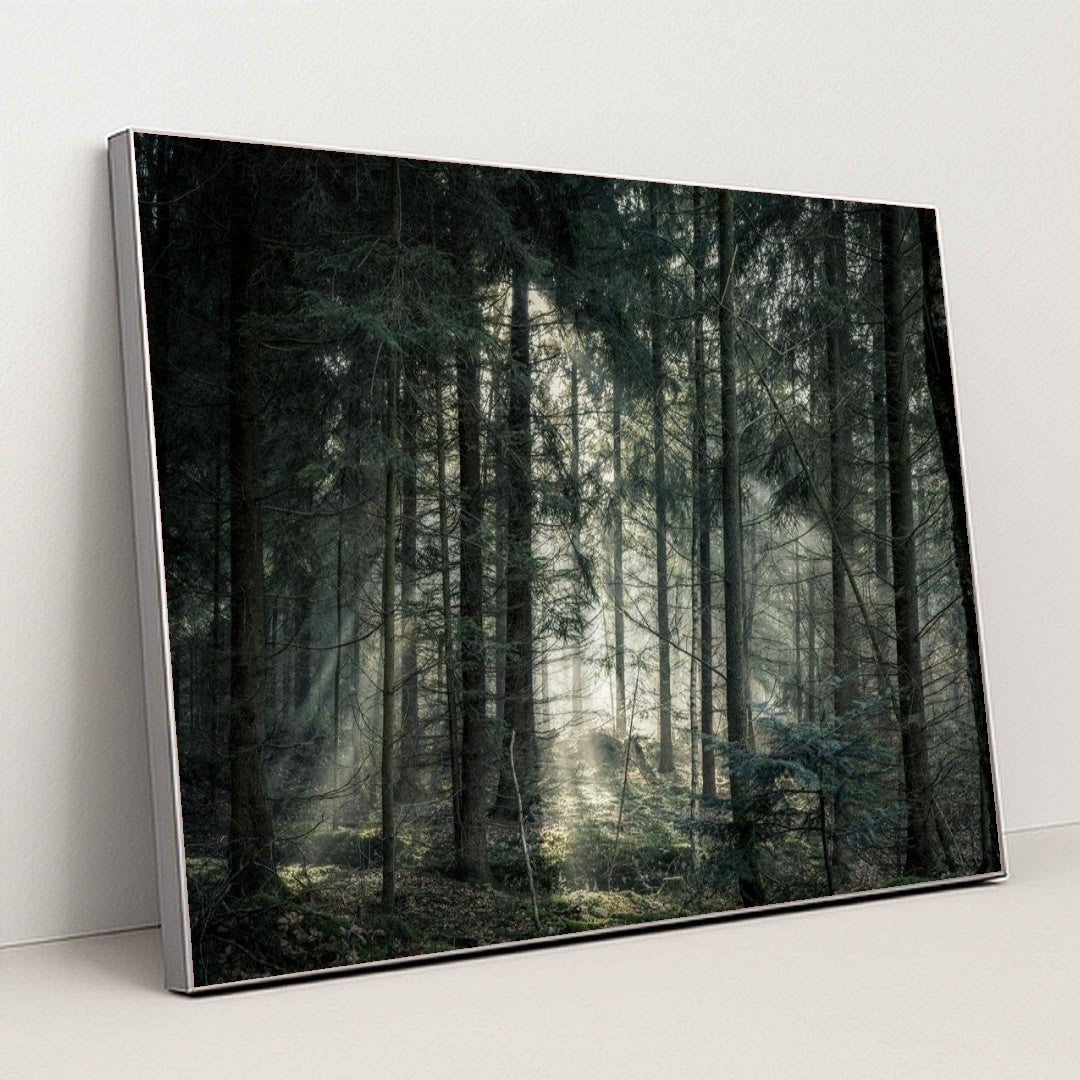 7090296815651 - Product Image