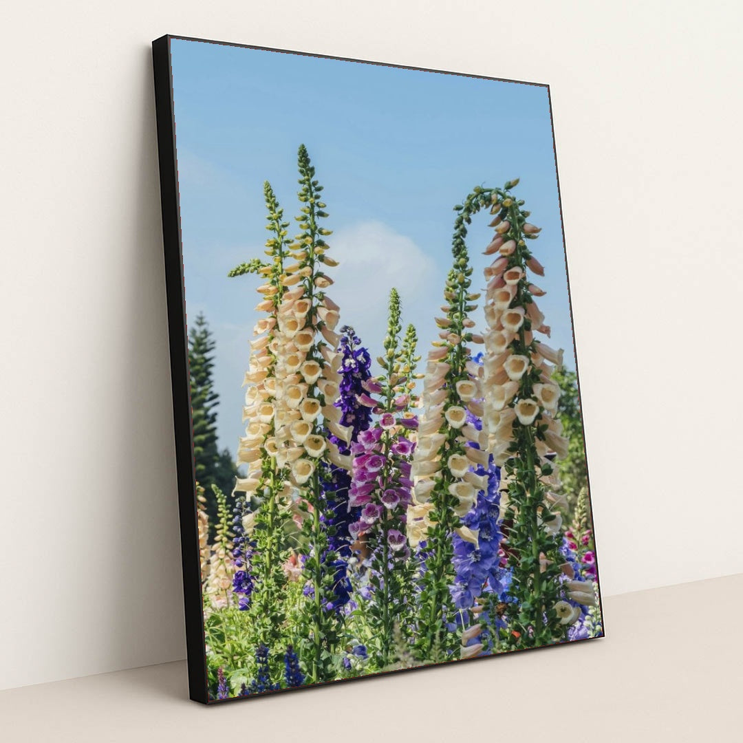 7090284593187 - Product Image