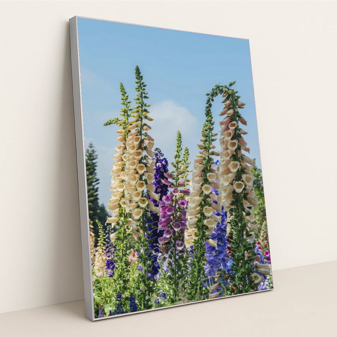 7090284593187 - Product Image