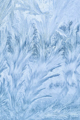 Architecture of Frost by Eugene Golovesov