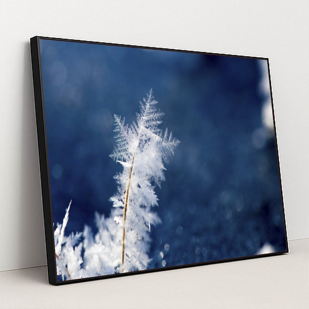 7090345902115 - Product Image