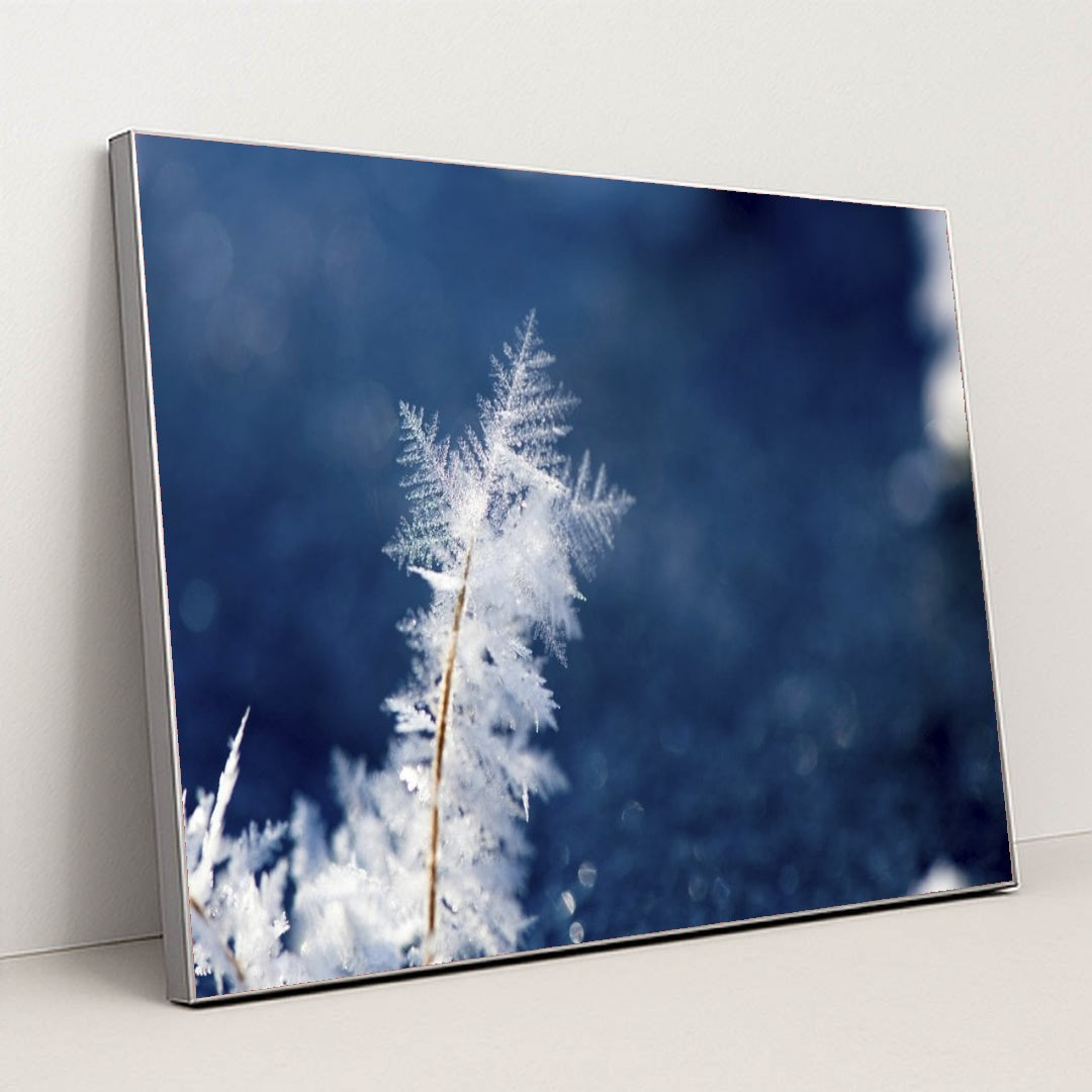 7090345902115 - Product Image