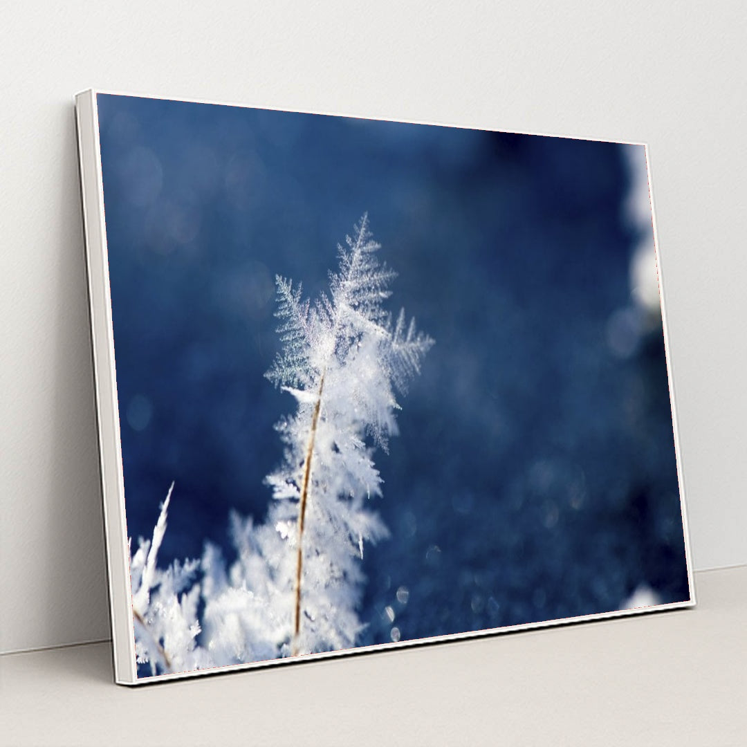 7090345902115 - Product Image