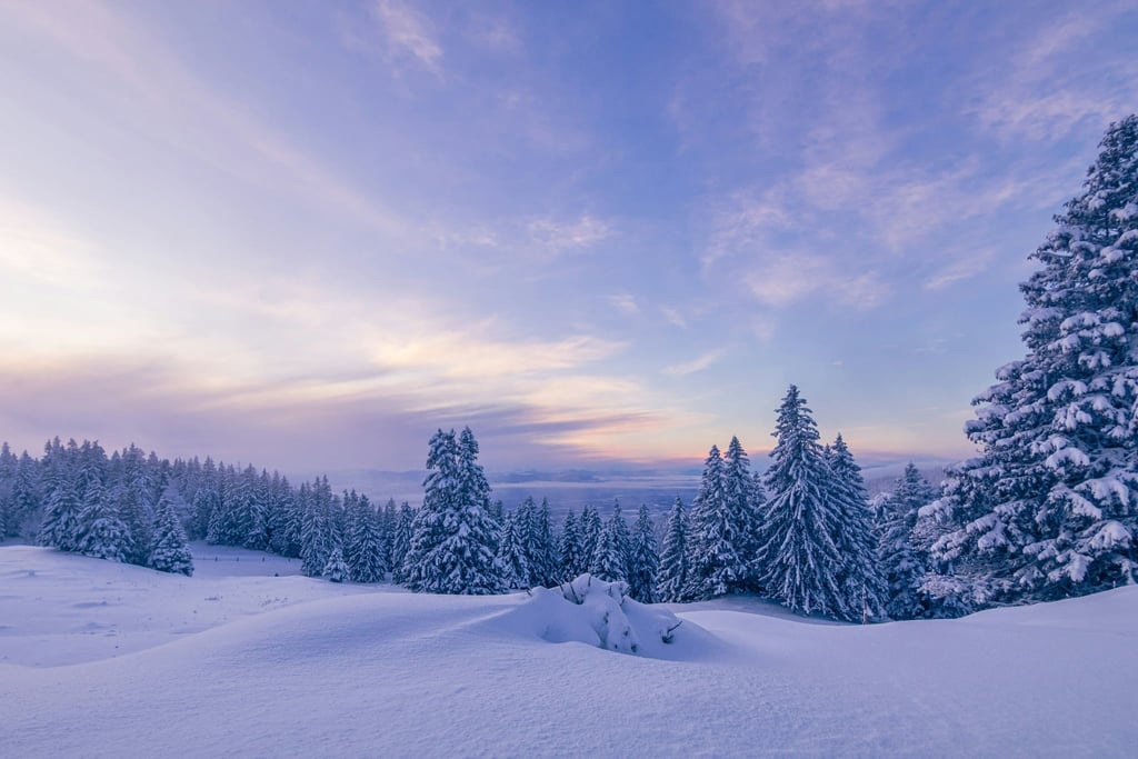 Frosted Light by Oleg Demakov