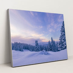 Frosted Light by Oleg Demakov - Silver Frame Stretchiez