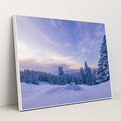 Frosted Light by Oleg Demakov - White Frame Stretchiez