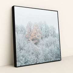 Frost-Covered Trees with Autumn Leaves in Misty Winter Forest by Simon Berger - Black Frame Stretchiez