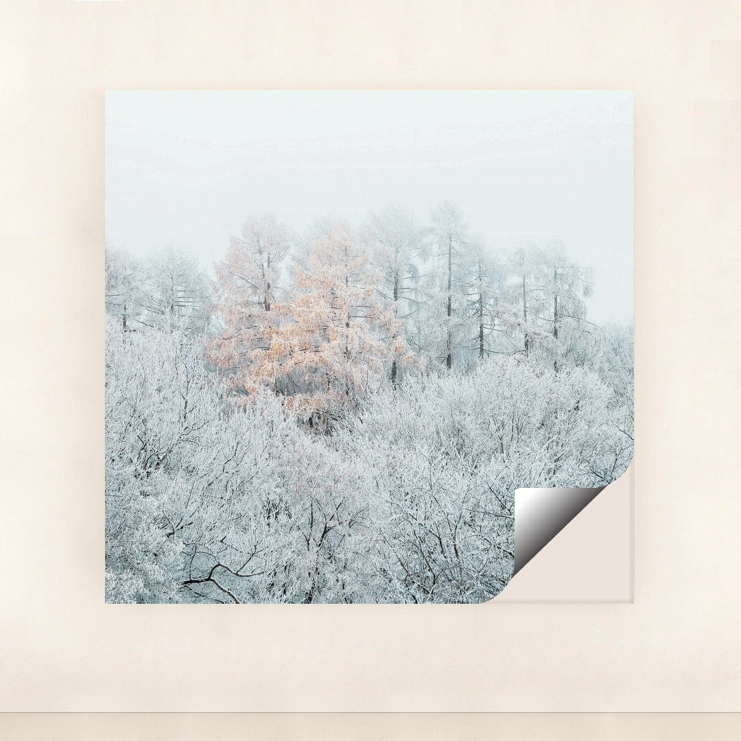 Frost-Covered Trees with Autumn Leaves in Misty Winter Forest by Simon Berger - Peeliez