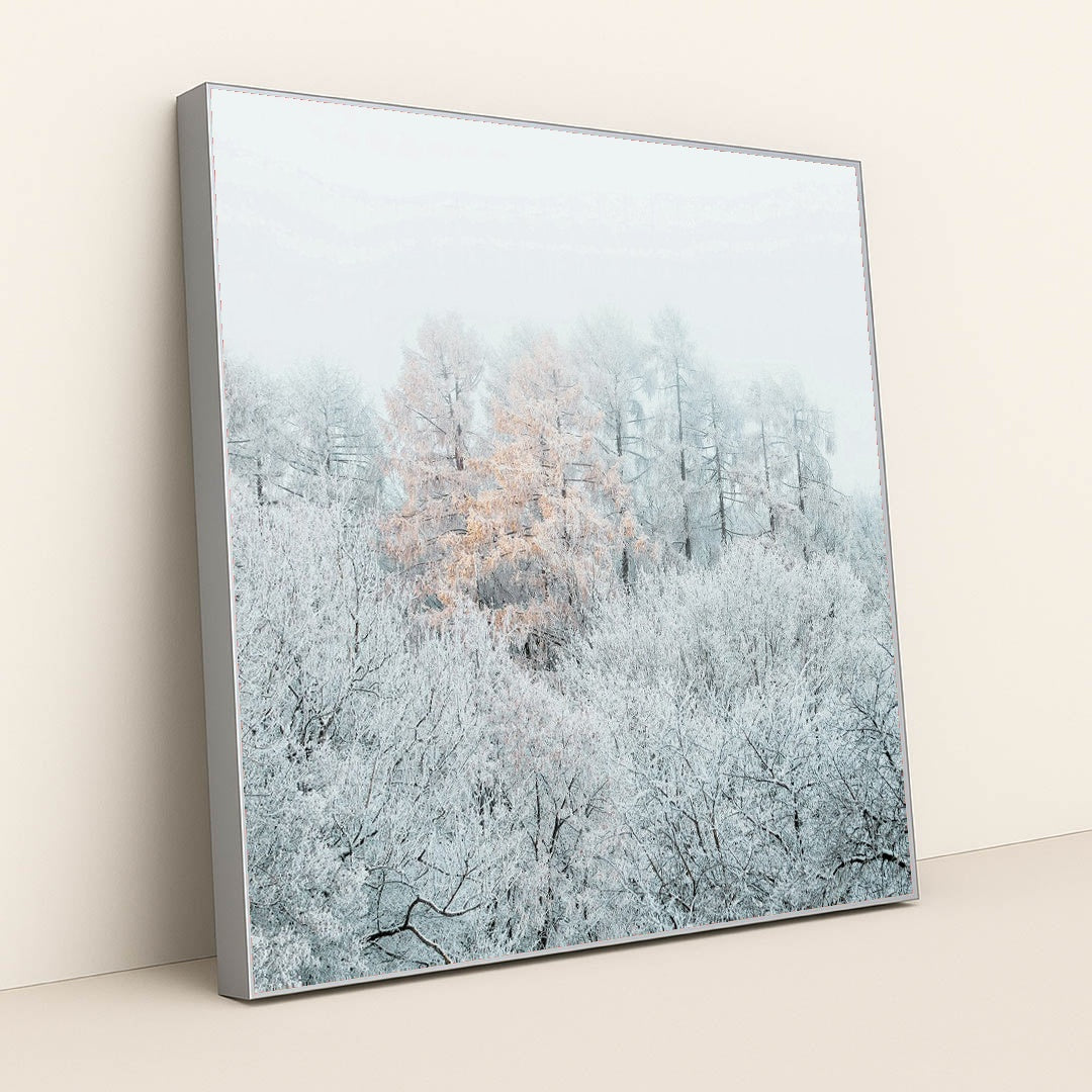 Frost-Covered Trees with Autumn Leaves in Misty Winter Forest by Simon Berger - Silver Frame Stretchiez