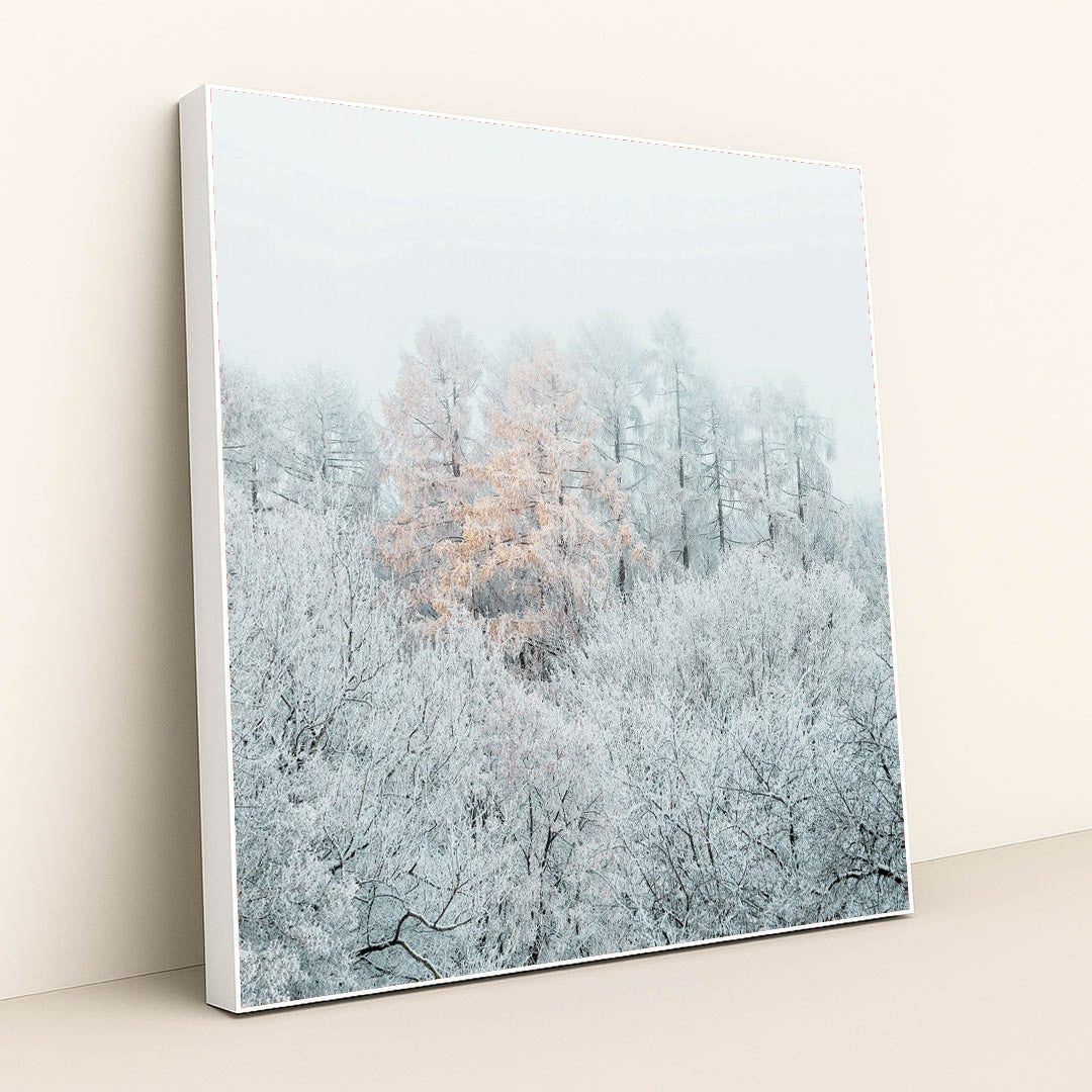 Frost-Covered Trees with Autumn Leaves in Misty Winter Forest by Simon Berger - White Frame Stretchiez