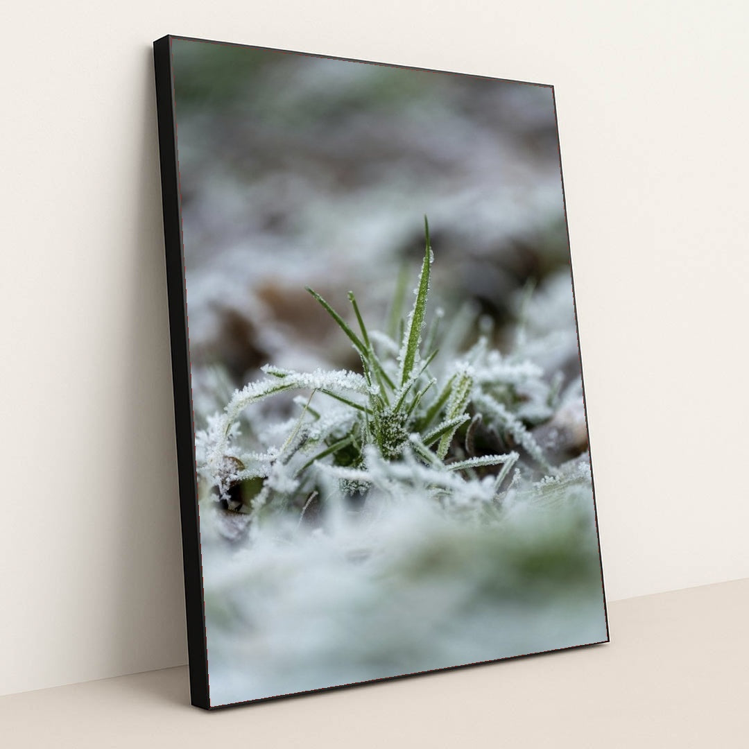 7090345869347 - Product Image