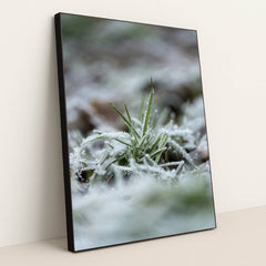 7090345869347 - Product Image