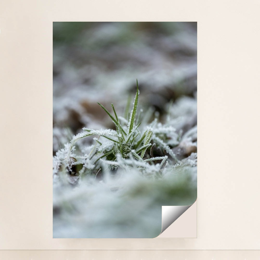 7090345869347 - Product Image