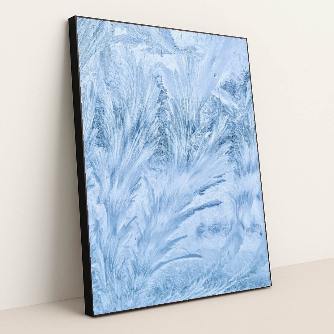 6364 - Product Image