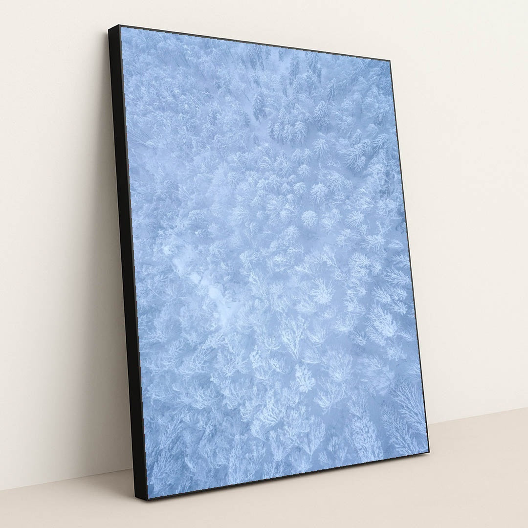 Frozen Lacework by Ales Krivec - Black Frame Stretchiez