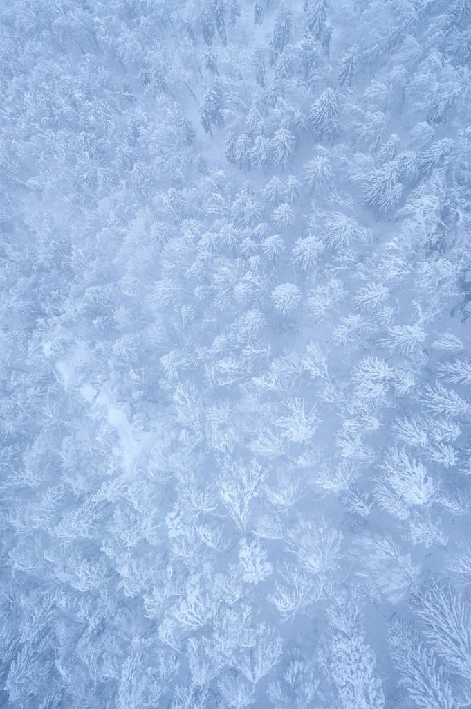 Frozen Lacework by Ales Krivec
