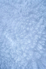 Frozen Lacework by Ales Krivec