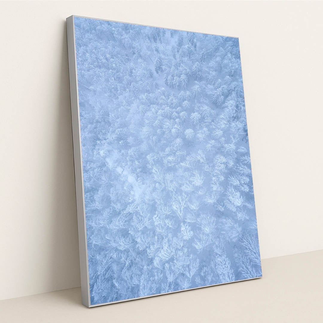 Frozen Lacework by Ales Krivec - Silver Frame Stretchiez