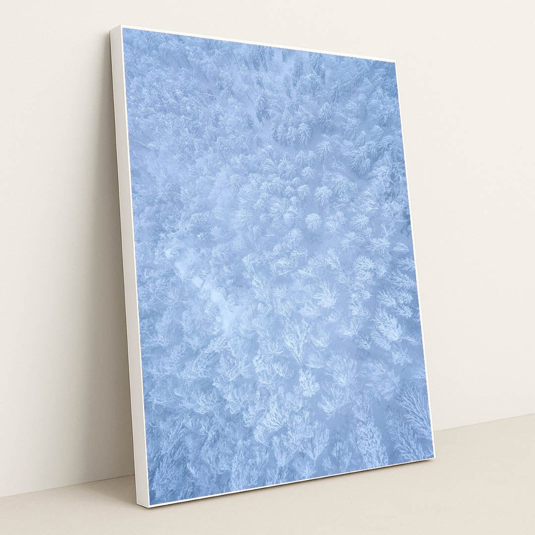 Frozen Lacework by Ales Krivec - White Frame Stretchiez