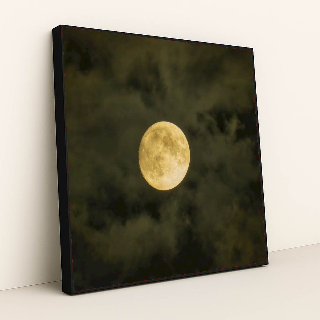 7090332336163 - Product Image