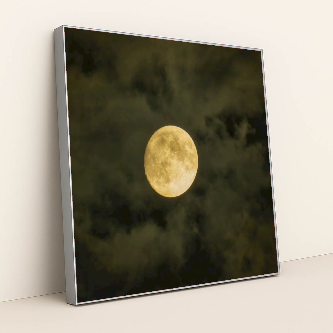 7090332336163 - Product Image