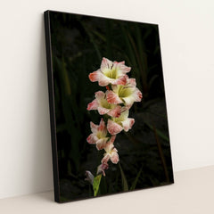 7090263195683 - Product Image