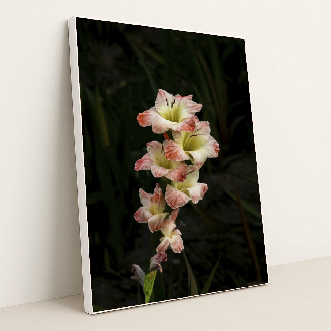 7090263195683 - Product Image