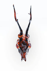 Marek Piwnicki - An artistic deer skull with fiery glass effects, set against a white backdrop, perfect for Halloween themes.