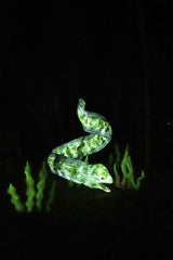 Connor McManus - Illuminated snake sculpture with vibrant green lights in a dark setting.