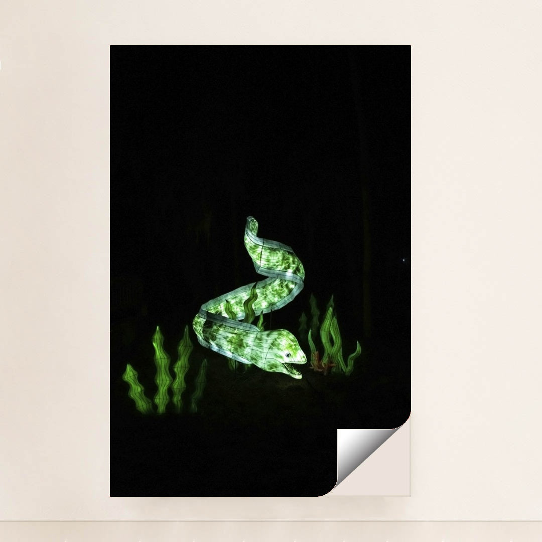 7090384896035 - Product Image