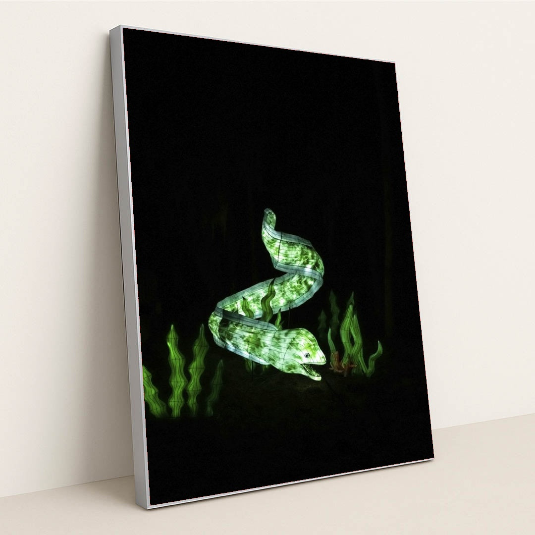 7090384896035 - Product Image