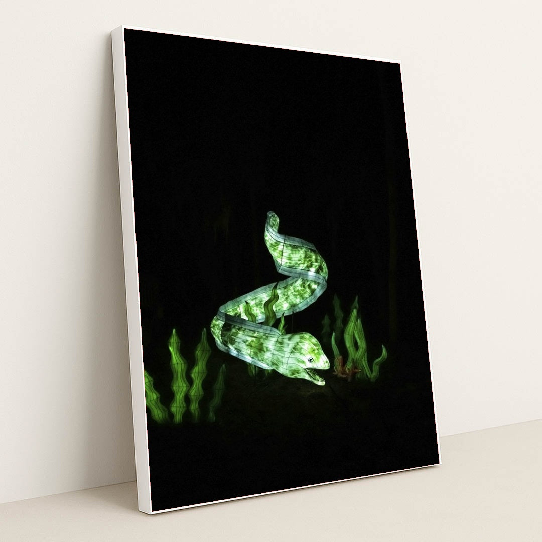 7090384896035 - Product Image