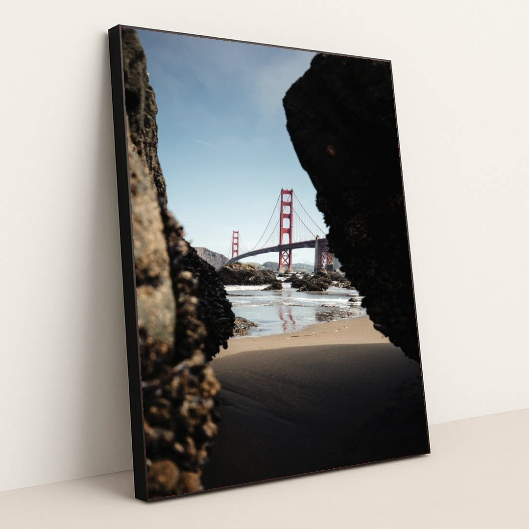 7090351144995 - Product Image