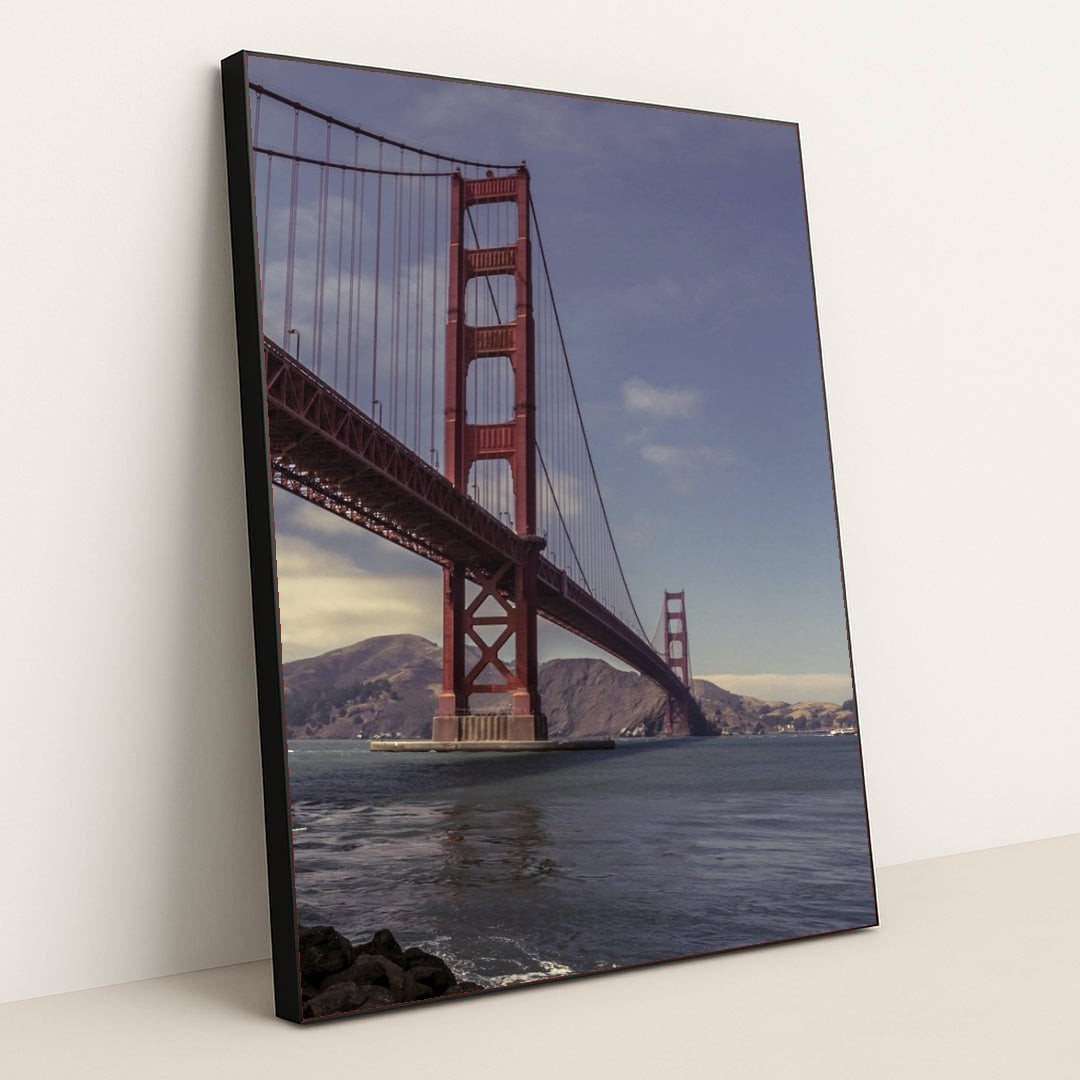 7090802622499 - Product Image