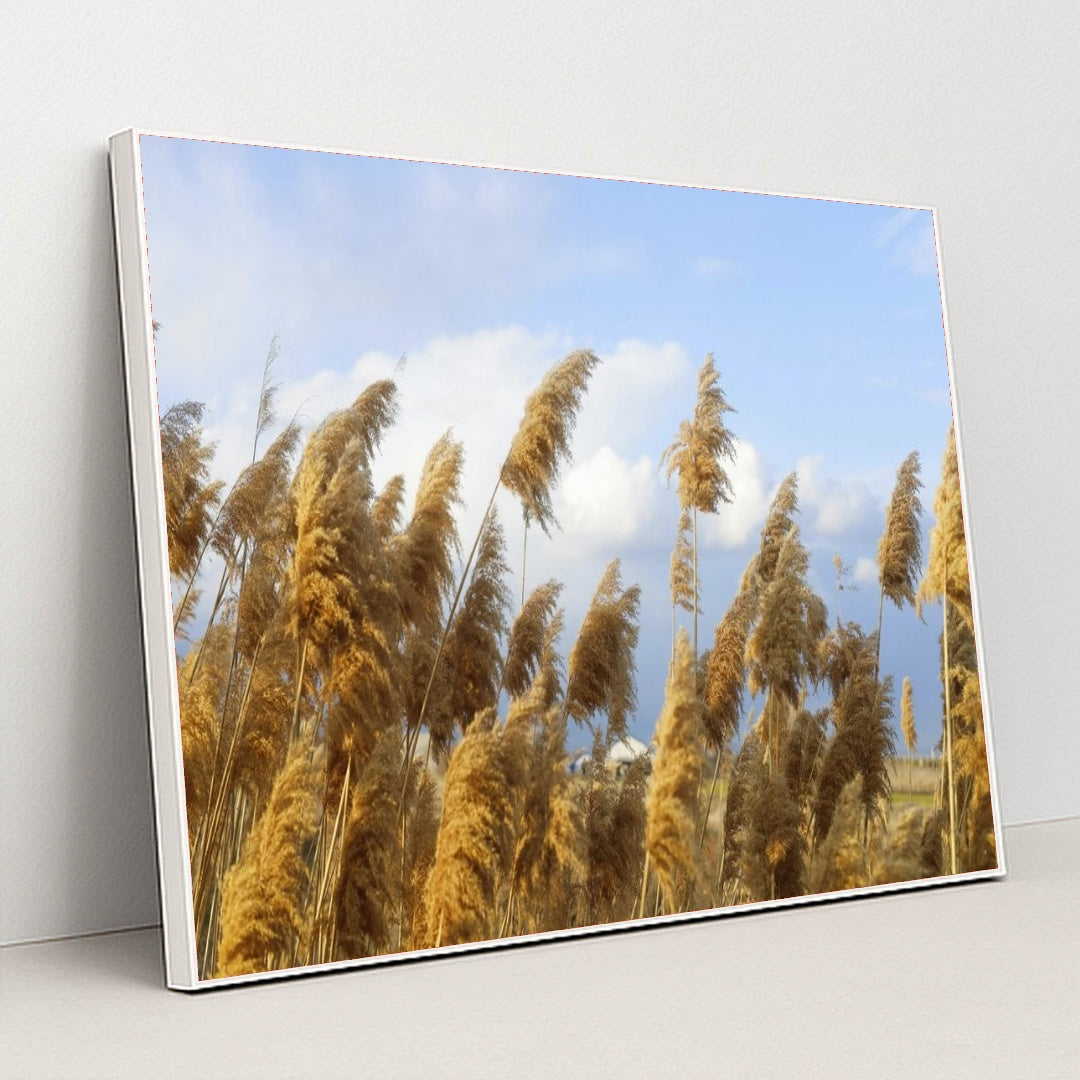 7090290229283 - Product Image