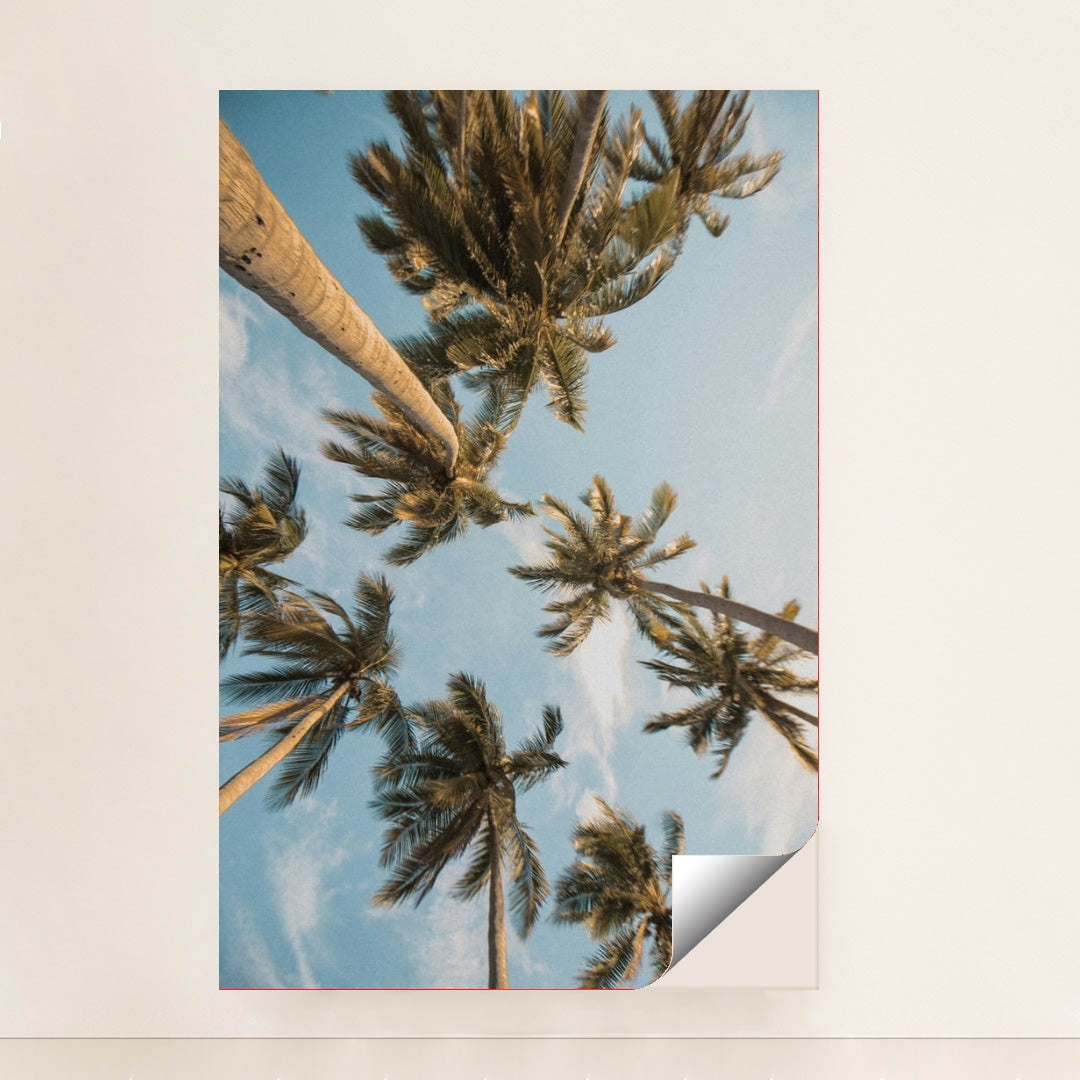 Golden Hour Palms by Angello Pro - Peeliez