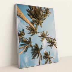 Golden Hour Palms by Angello Pro - Silver Frame Stretchiez