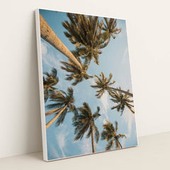 Golden Hour Palms by Angello Pro - White Frame Stretchiez