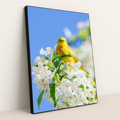 Golden Song of Spring by Mark Olsen - Black Frame Stretchiez